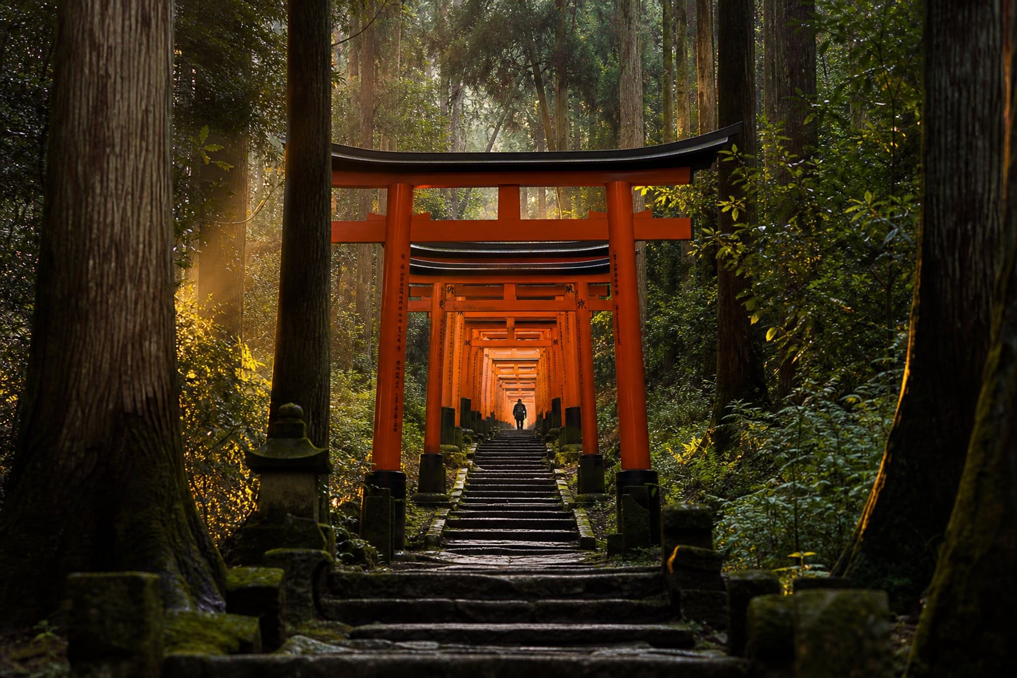 A mossy stone stairway climbing through the corridor of vermilion torii gates at Fushimi Inari Taisha in Kyoto, with morning light and mist drifting through the surrounding cedar forest