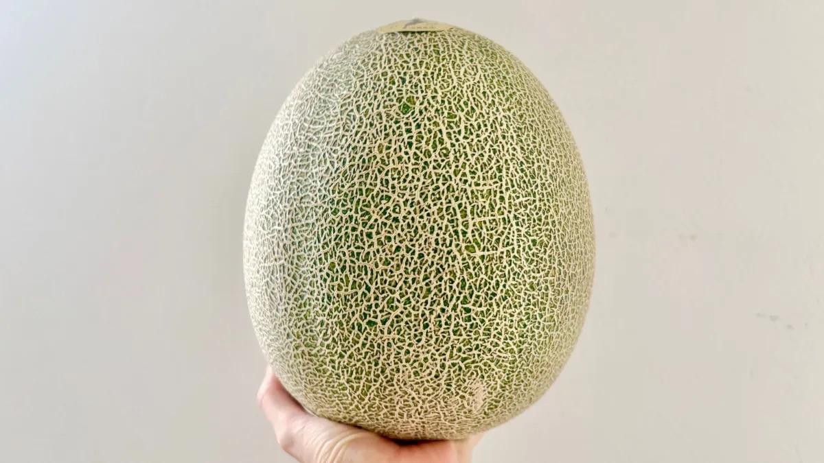 Japan’s expensive “phantom” melon is so exquisite it sells out in just 12 hours